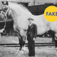 Image for article titled 7 (More) Fun Facts That Are Total Lies